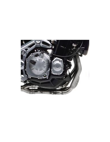 HEADER Z900