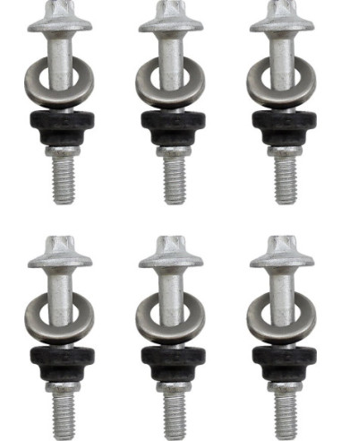 CLUTCH CVR SCREWS CANAM