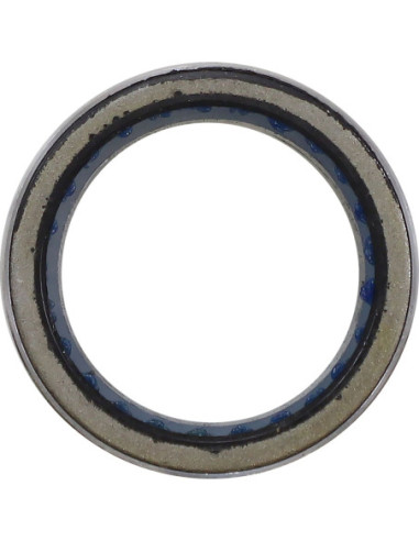 PRIMARY CLTCH BEARING POL