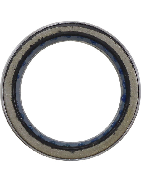 PRIMARY CLTCH BEARING POL