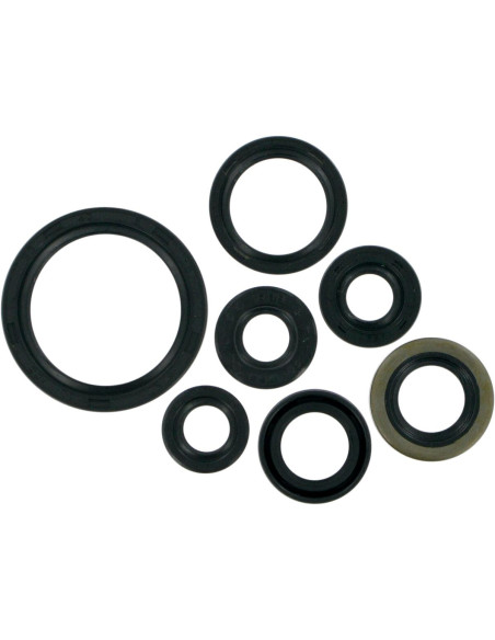 SEAL-KIT OIL-KLX/DRZ400