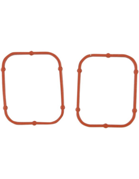 GASKET INNER ROCKER 2PK