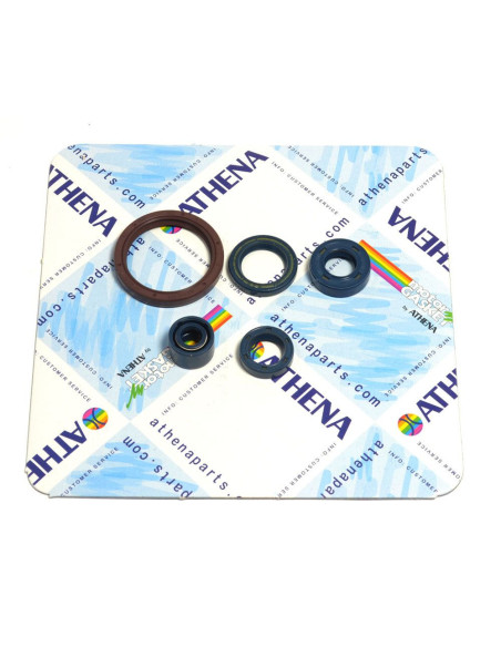 VARIKLIO ALYVOS SANDARIKLIŲ RINKINYS
