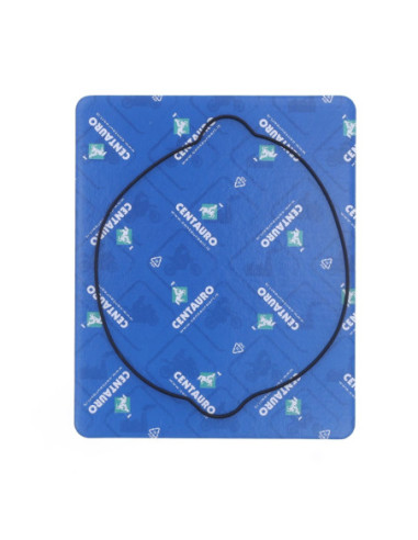 GASKET CLUTCH OUT KT/HV
