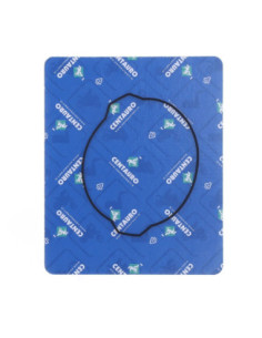 GASKET CLUTCH OUT KT/HV