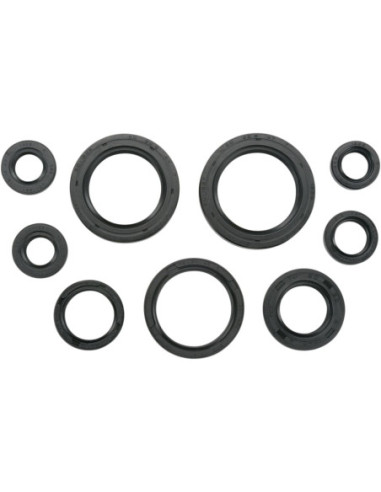SEAL-KIT OIL-TRX450R
