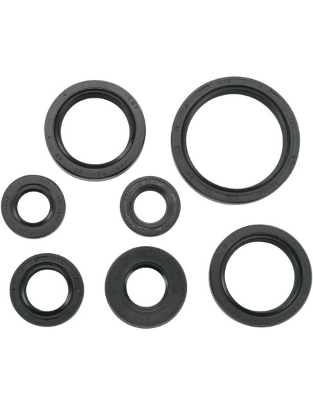 SEAL-KIT OIL-YFM660 RAPT