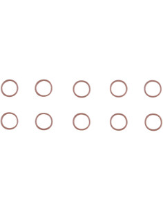 O-RING 11900090 10PK
