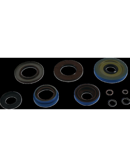 TRANSAXLE SEAL KIT POL MSE
