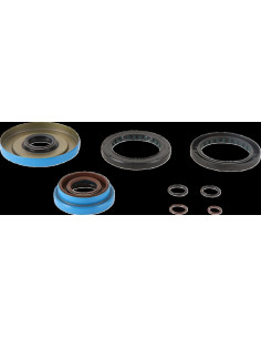 TRANSAXLE SEAL KIT POL MSE