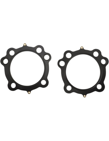 GASKET HD .04EVO 3.625