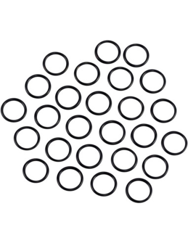 L70-03 OIL SCRN/PMP O-RNG