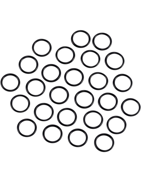 L70-03 OIL SCRN/PMP O-RNG