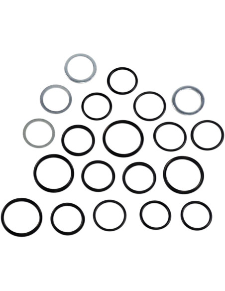 P-ROD SEAL SET 79-81 BT