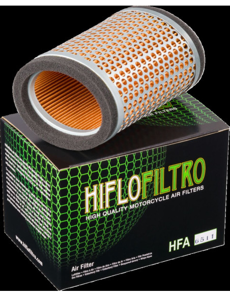 ORO FILTRAS TRIUMPH THUNDERBIRD