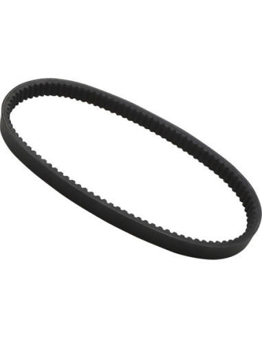 BELT DRIVE DAYCO 2004