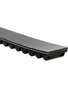 Strona główna