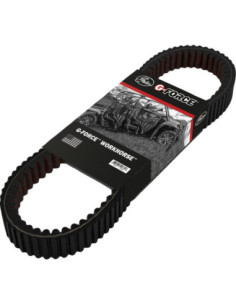 Moto dalys