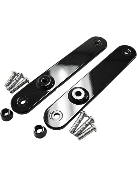 MOUNTS TURN SIGNAL FL BK
