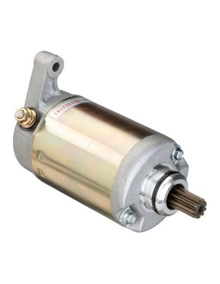 STARTERIO PURVAS TGB 250/325