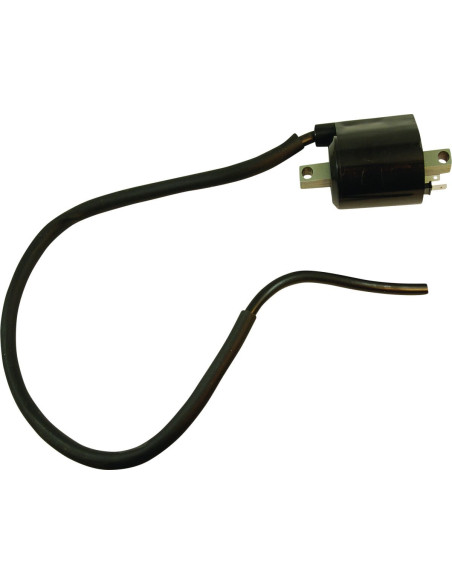 IGNITION COIL YA/AP/DB