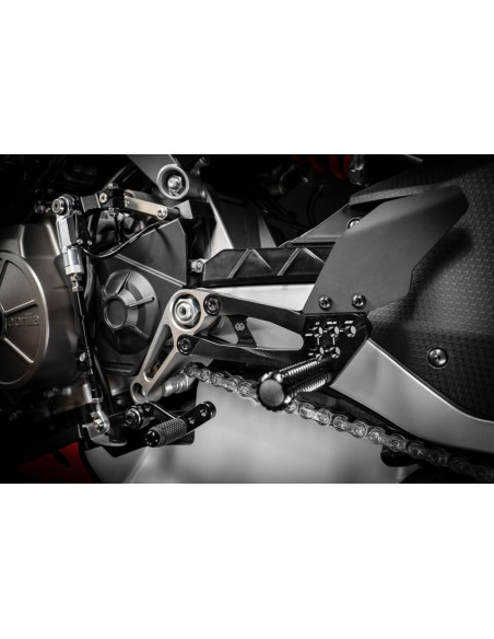 APRILIA RS/TUONO 660 GALINIŲ RATŲ RINKINYS F