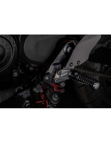 HONDA DAX 125 2022 - REGULIUOJAMAS