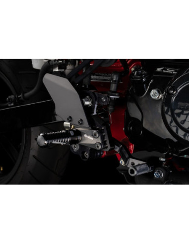 HONDA DAX 125 2022 - REGULIUOJAMAS