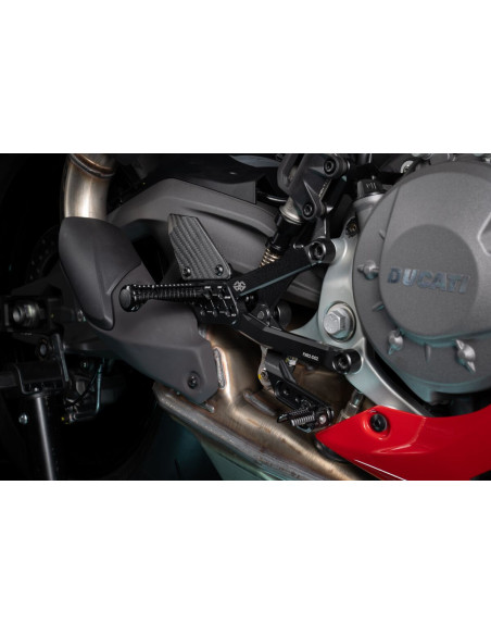DUCATI PANIGALE V2/S 25- UŽPAKALINIAI RATAI