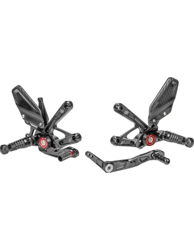 YAMAHA YZF-1R GYTR 2023- REARS