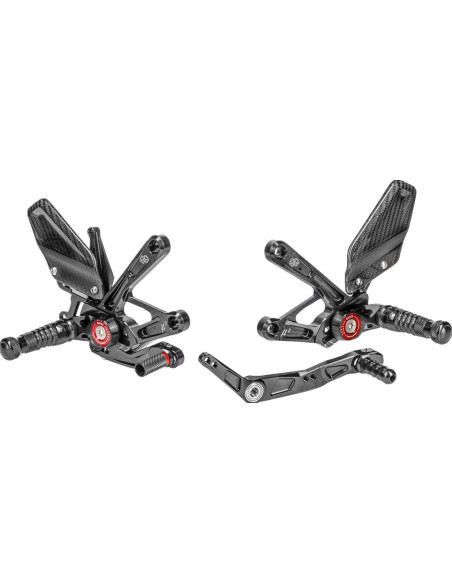 YAMAHA YZF-1R GYTR 2023- REARS