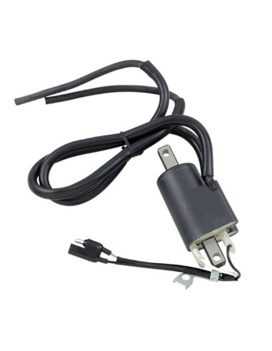 IGNITION COIL BOMB.