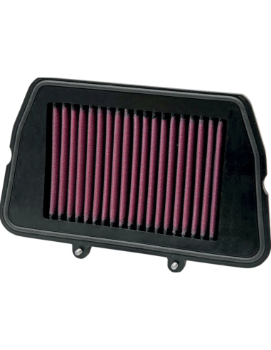 ORO FILTRAS TRIUMPH TIGER