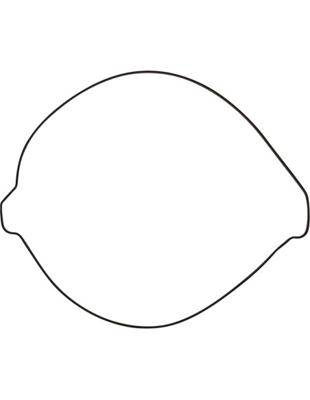 Outer Clutch Gasket Kit