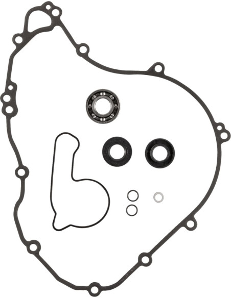 Water Pump Rebuild Kit
