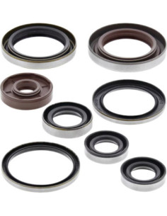 Oil Seal Kit
