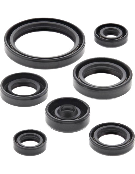Oil Seal Kit