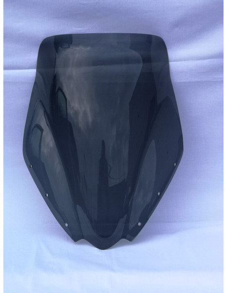 PRIEKINIS STIKLAS HP TRIUMPH TIGER105