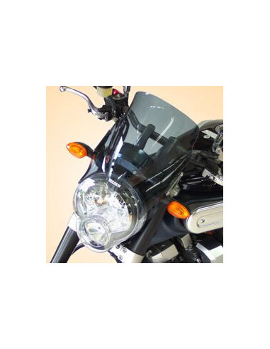 PRIEKINIS STIKLAS HP YAMAHA 1700 MT01