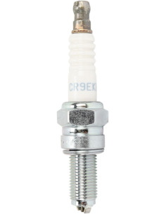 Pagrindinis
