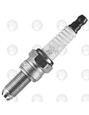SPARK PLUG NGK CR7EKB