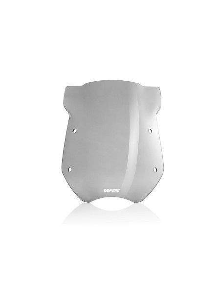 WINDSCREEN ALTO TOURING R1200R