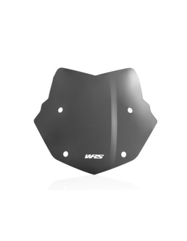 PRIEKINIS STIKLAS ENDURO R1250GS TAMSUS