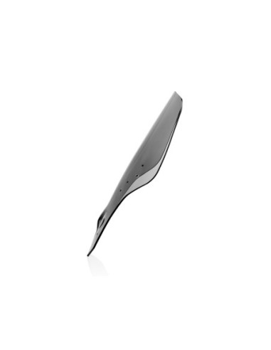 WINDSCREEN ADVENTURE CRF1000L/