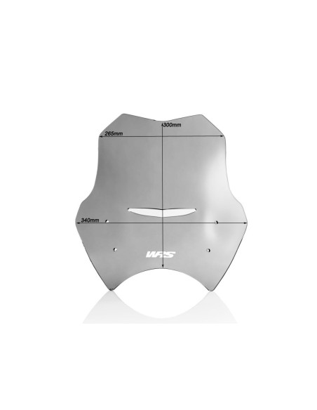 PRIEKINIS STIKLAS SPORTAS R1150R DŪMAS