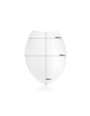 WINDSCREEN CAPONORD R1200RT CL