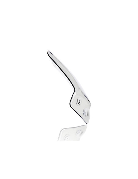 WINDSCREEN INTERMEDIO R1200R C