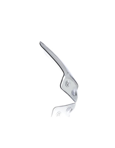 WINDSCREEN INTERMEDIO R1200R S