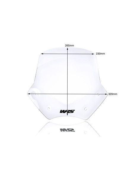 PRIEKINIS STIKLAS SPORTAS R1200R SKAIDRUS