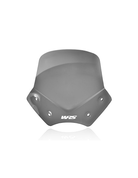 PRIEKINIS STIKLAS SPORTAS R1200R DARK S